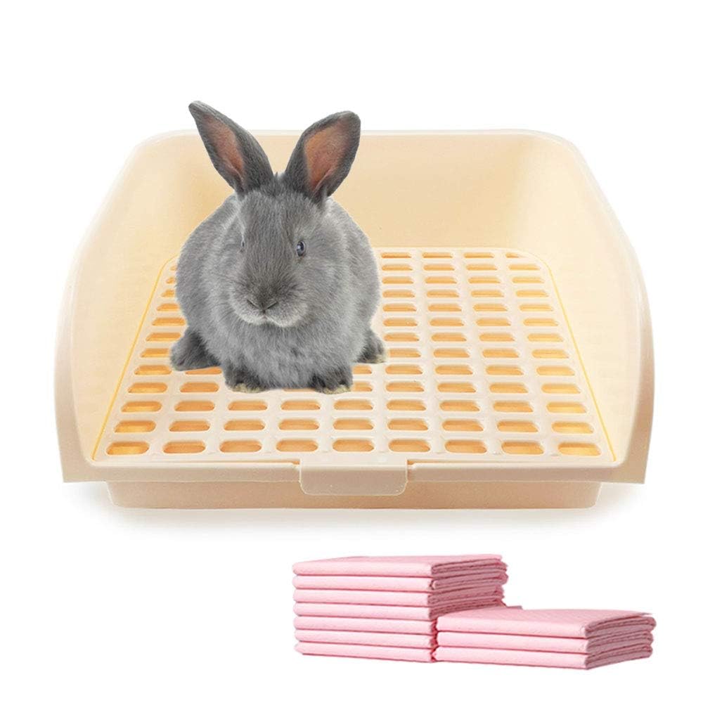 Effective Ways to Choose the Best Rabbit Litter Box in 2025: Improve Your Pet’s Comfort