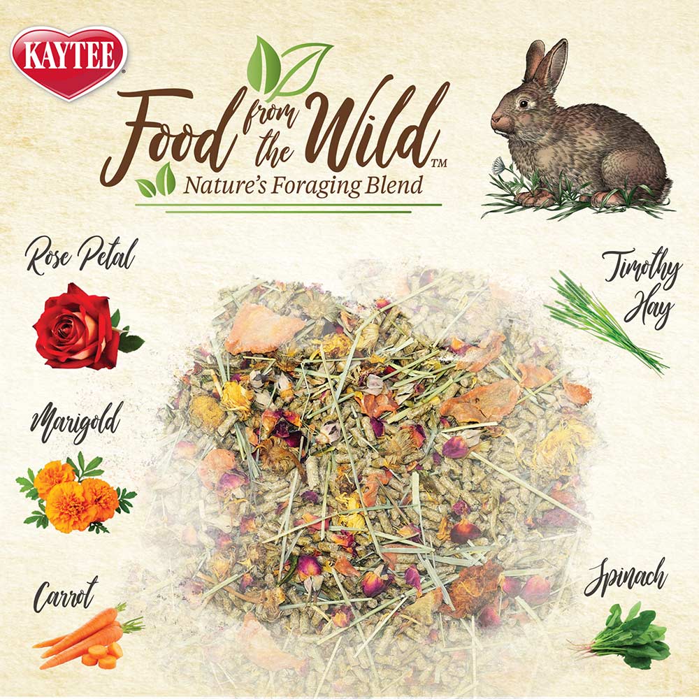 Effective Ways to Enhance Wild Rabbit Food for Better Foraging Success in 2025