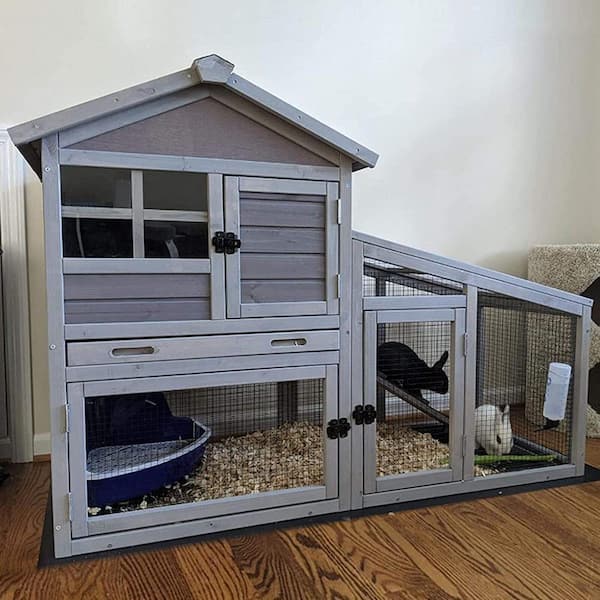 Best 5 Indoor Rabbit Hutch Options for a Happy and Healthy Home in 2025