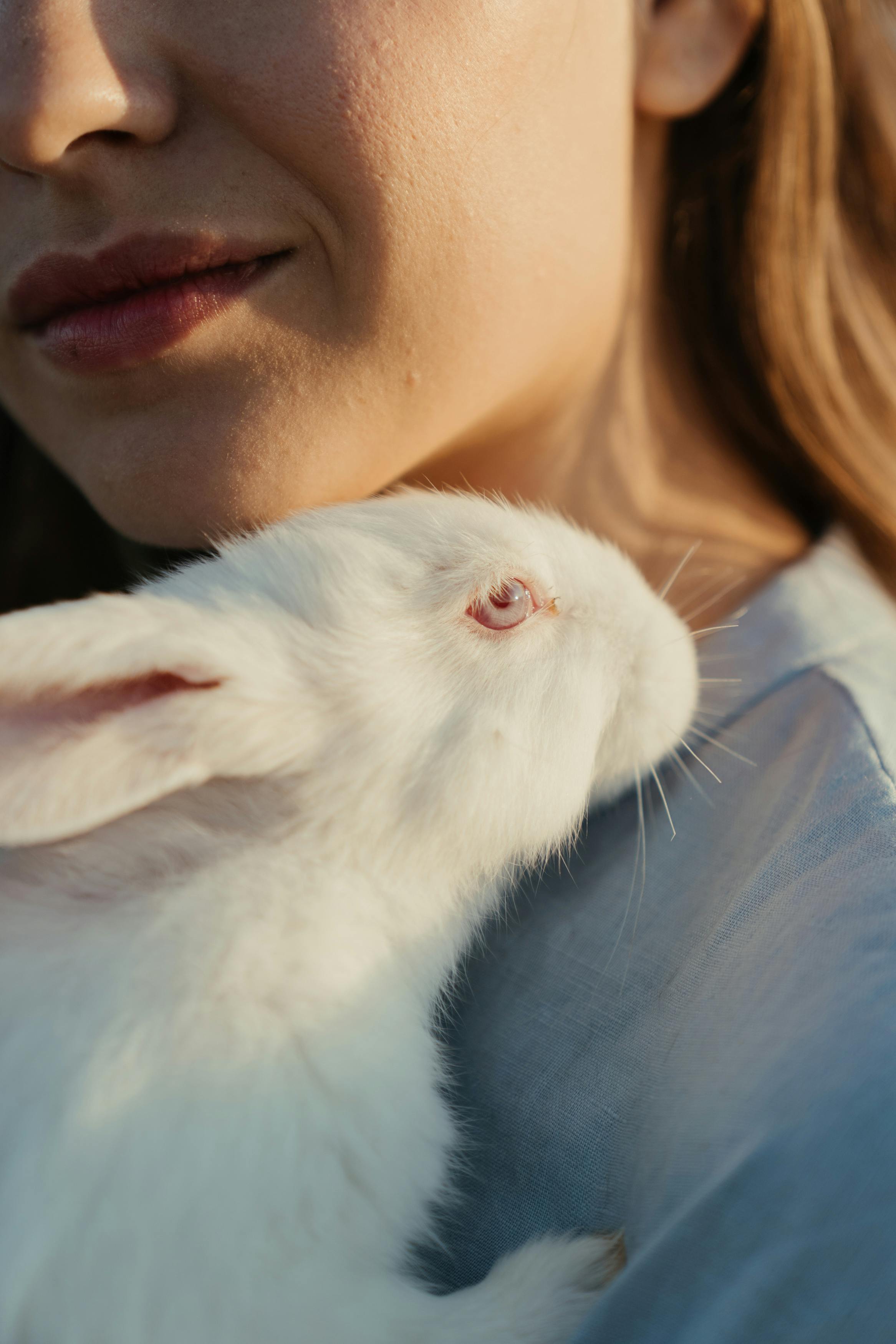 Caring for Dwarf Hotot Rabbit