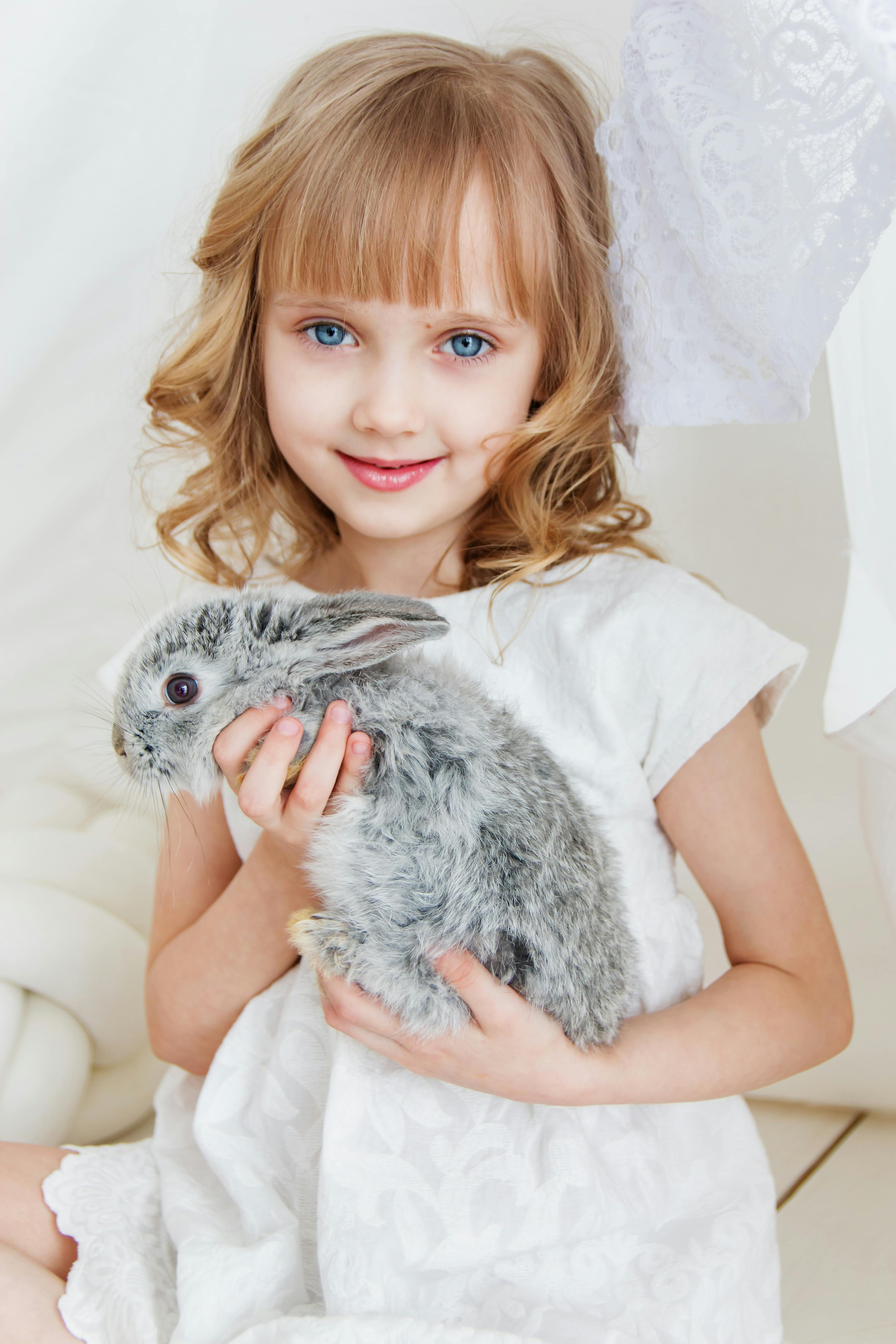 Giant Chinchilla Rabbit