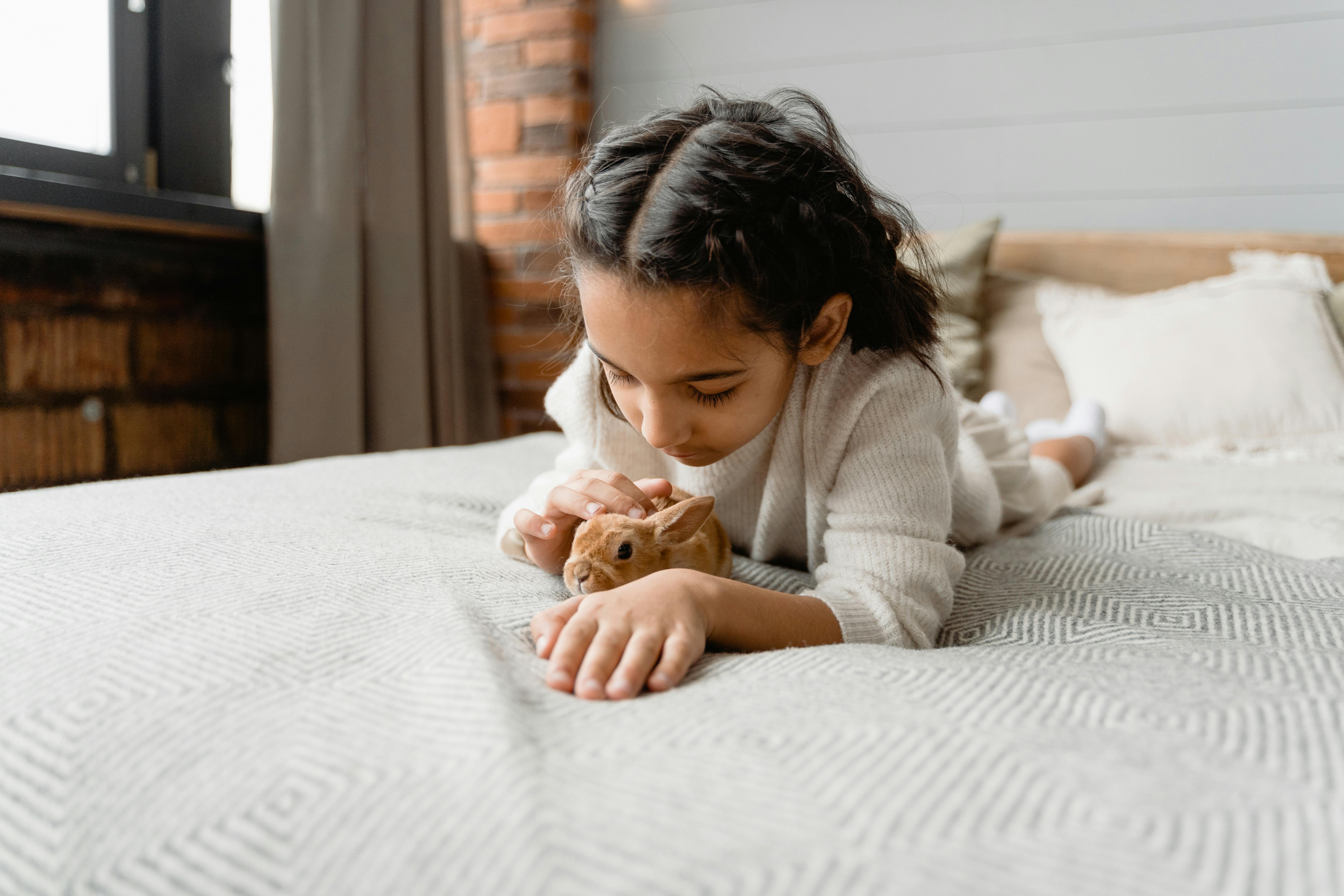 Cozy Roller Rabbit Bedding