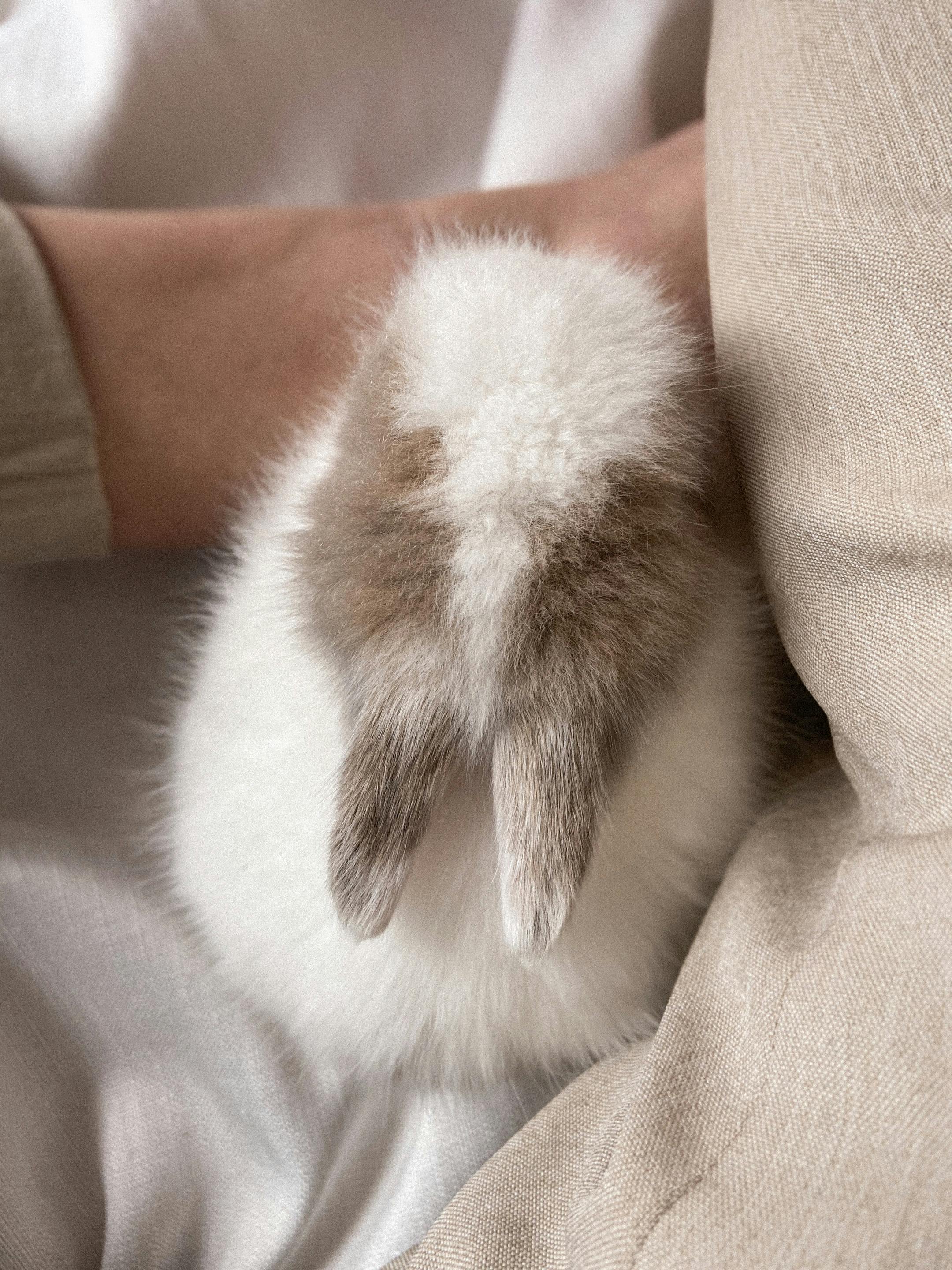 Eco-Friendly Roller Rabbit Bedding