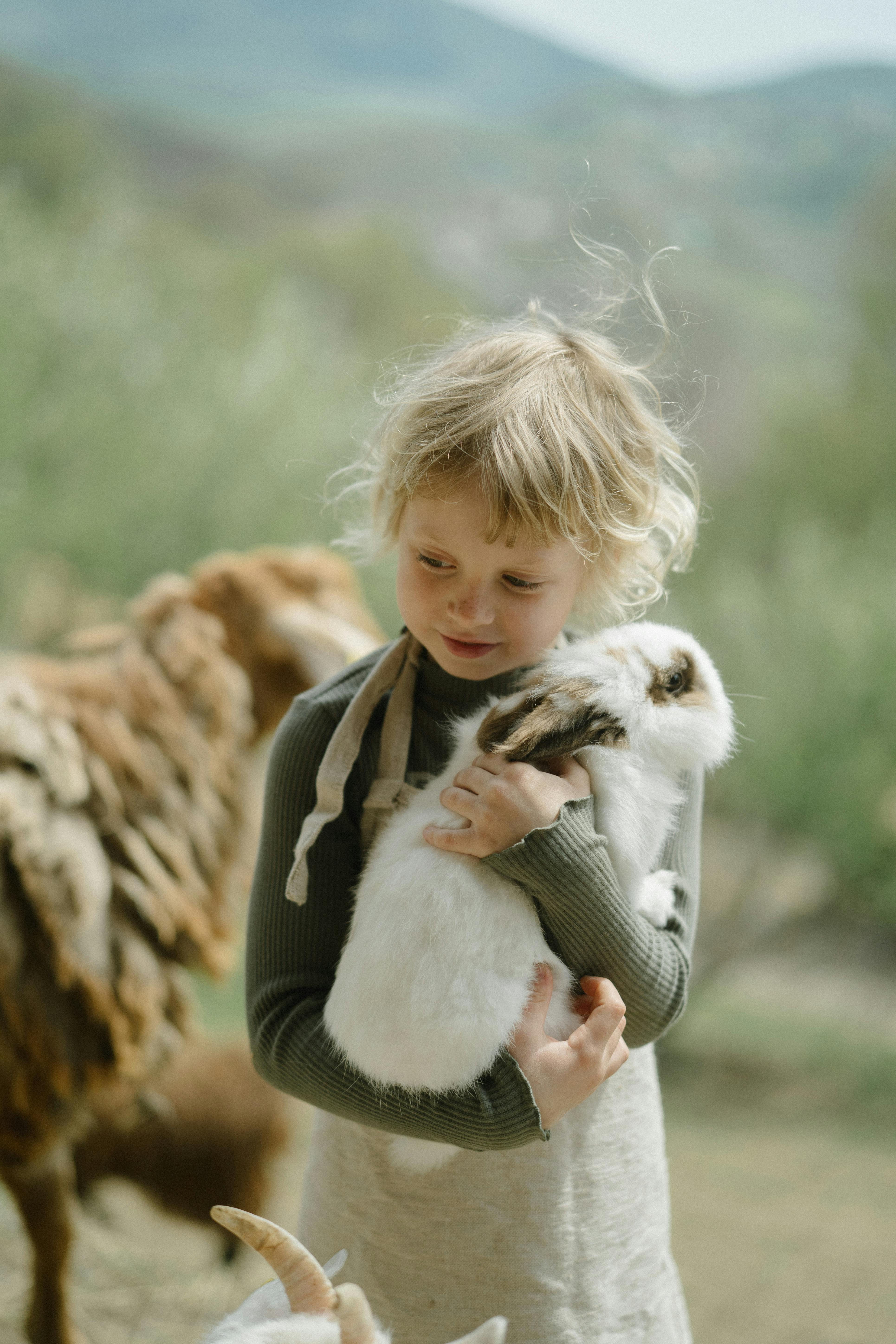 Small rabbit breeds